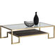 Carver 59 X 31.5 inch Clear / Matte Gold Coffee Table
